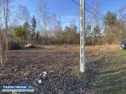 Działka Budowlana Machowa gm. Pilzno - Obrazek 1