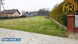 Działka rolna 0,32 ha w Otfinowie - Obrazek 2