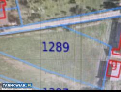 Działka 20ar Łukowa sprzedam - Obrazek 1