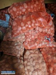 Ziemniaki Denary spożywczo przemysłowe - Obrazek 1