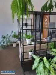 Wąski regał Ikea - Obrazek 1