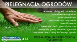 Koszenie karczowanie przycinka - Obrazek 1