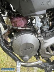 Generic Trigger X Supermoto 50/90cc - Obrazek 2