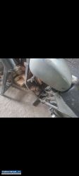 Ramo wsk 125 b1 - Obrazek 2