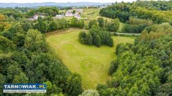 Działka Rolno-Budowlana | Wola Lubecka | Okazja - Obrazek 1