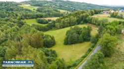 Działka Rolno-Budowlana | Wola Lubecka | Okazja - Obrazek 2