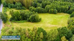 Działka Rolno-Budowlana | Wola Lubecka | Okazja - Obrazek 3