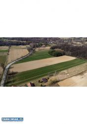 Widokowa działka - Buchcice nieopodal Tuchowa - Obrazek 2