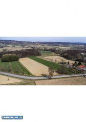 Widokowa działka - Buchcice nieopodal Tuchowa - Obrazek 1