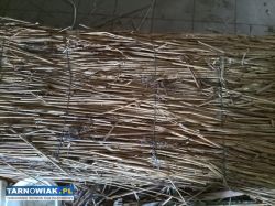 Bezpłatnie podaruje - Obrazek 2