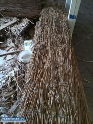 Bezpłatnie podaruje - Obrazek 3