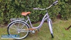 Rower 26 Romet Angel rama 19 cali biegi w piaście - Obrazek 1
