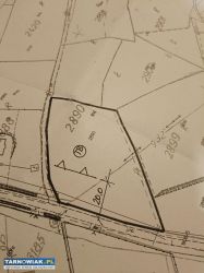 Sprzedam działkę Zalasowa - Obrazek 1