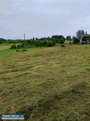 Sprzedam działkę Zalasowa - Obrazek 2