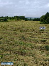 Sprzedam działkę Zalasowa - Obrazek 3