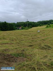 Sprzedam działkę Zalasowa - Obrazek 4