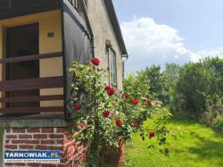 ROD "Narcyz" w Tarnowie - Obrazek 1