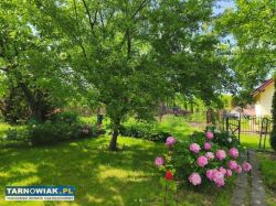 ROD "Narcyz" w Tarnowie - Obrazek 3