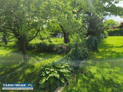 ROD "Narcyz" w Tarnowie - Obrazek 4