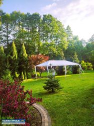 Posiadłość z potencjałem inwestycyjnym - Łętowice - Obrazek 2