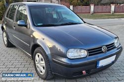 Volkswagen golf iv 1.4 1998 - Obrazek 2