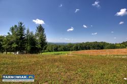 Dąbrówka Szczepanowska !!! 20,01 ara !!! - Obrazek 1