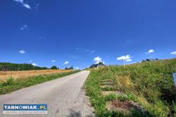 Dąbrówka Szczepanowska !!! 20,01 ara !!! - Obrazek 4