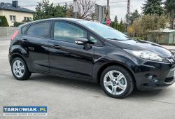 Ford fiesta 2010r 1.25  82km euro5 org. - Obrazek 1