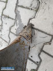 Obsypnik pielnik grudziąc - Obrazek 3