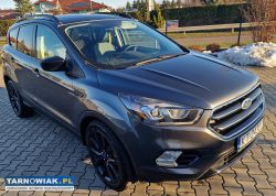 Ford escape / kuga  1.5 - Obrazek 1