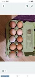 Sprzedam jajka wiejskie - Obrazek 1