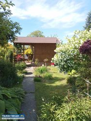 Działka rekreacyjna rod - Obrazek 2