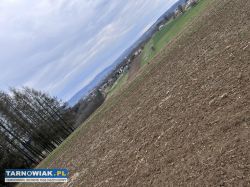 Działka na sprzedaż w Karwodrzy - Obrazek 2