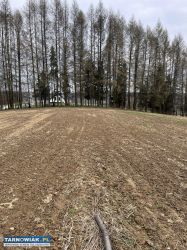 Działka na sprzedaż w Karwodrzy - Obrazek 3