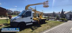 Uslugi Zwyżka, Transport Gabarytów, Przycinka drze - Obrazek 1