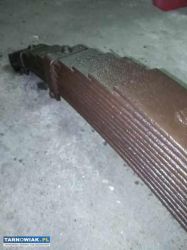 resor 12 piór - Obrazek 1