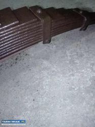 resor 12 piór - Obrazek 3