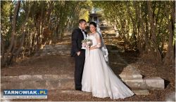 fotograf, kamerzysta, - wideofilmowanie - Obrazek 3