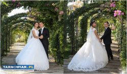 fotograf, kamerzysta, - wideofilmowanie - Obrazek 2