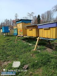 Stojaki pod ule - Obrazek 2