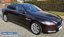 Jaguar xf 2.0 2017 - Obrazek 3