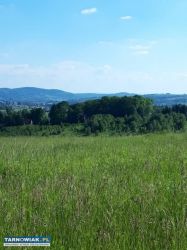 Działka budowlana w Karwodrzy 11,29 ar - Obrazek 2