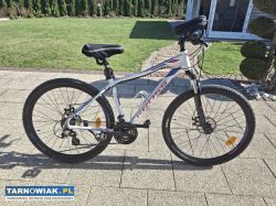 Rower Kross Lea 3,0 Damski - Obrazek 1