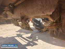 Kosiarka bijakowa mulcher 155 cm francuska - Obrazek 3