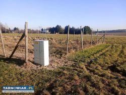 Ładna koło Tarnowa. - Obrazek 3