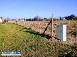 Ładna koło Tarnowa. - Obrazek 2