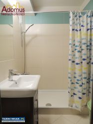 ! Mieszkanie 2 pokoje / osobna kuchnia ! - Obrazek 4