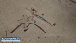 Oddam za darmo wersalkę - Obrazek 2