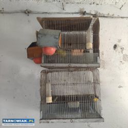 Klatki po kanarkach - Obrazek 1