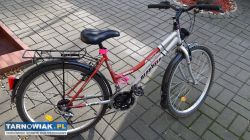 Rower miejski - trekingowy - Obrazek 1
